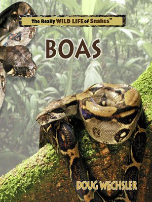 cover image of Boas
